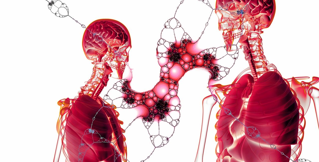 3 Bone Health Tips For Seniors