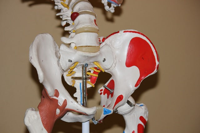 How To Improve Bone Health