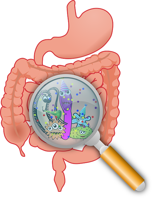 How digestion works and how to improve it