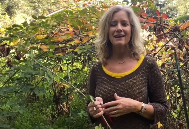 3 Effective Ways for Staying Calm and Grounded