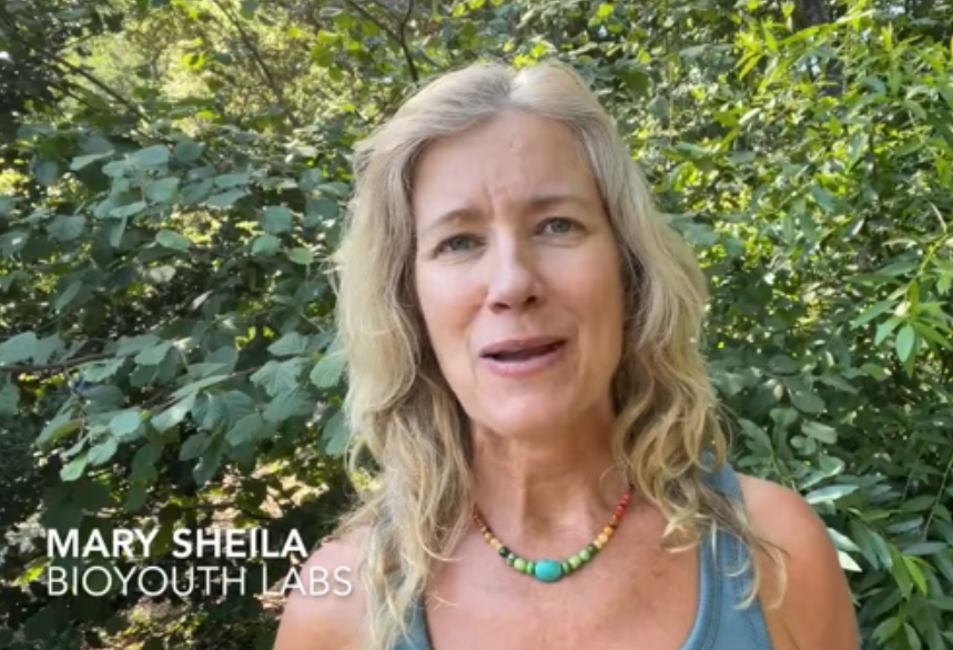 The Importance of Preventative Healthcare for healthy aging
