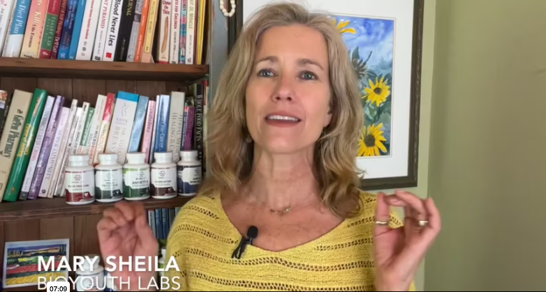 The Kidney Connection To High Blood Pressure