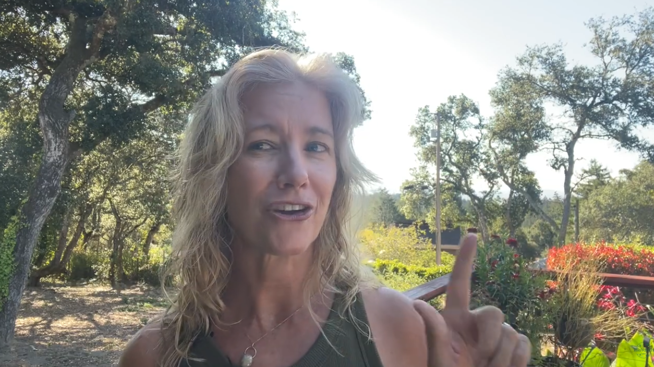Tired, cranky, and craving sugar at 3 PM? Watch this