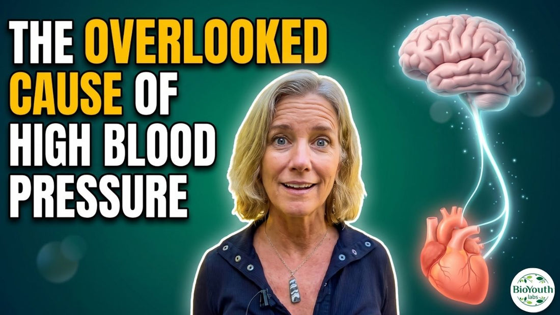 Your Nervous System Controls Your Blood Pressure