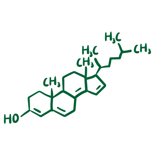 Cholesterol Support