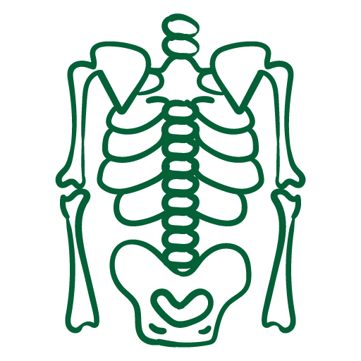 Bone & Joint Support