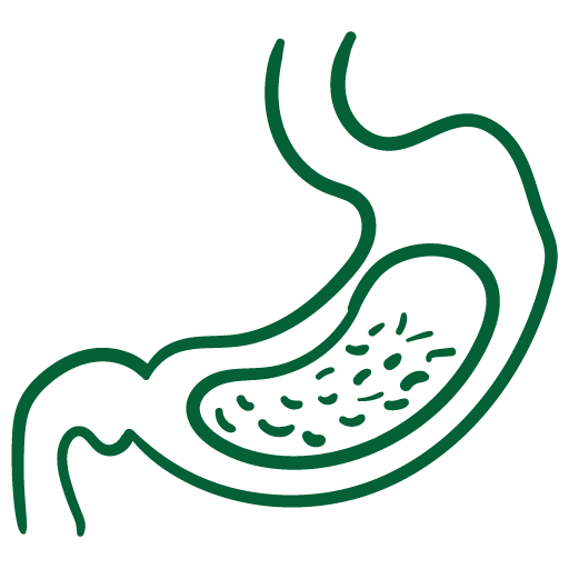 Digestive Health