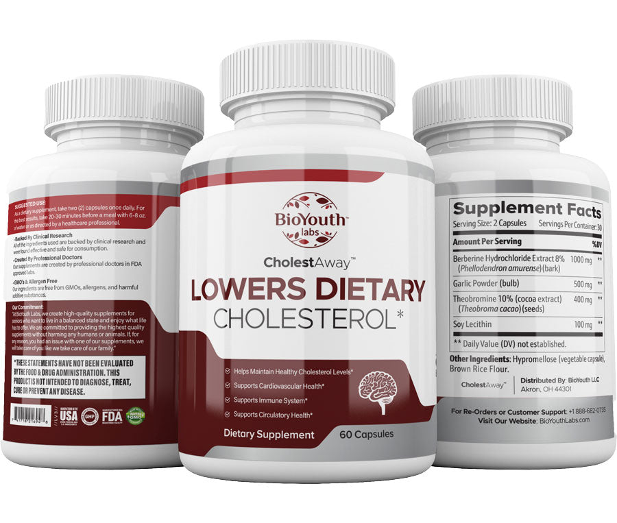best cholesterol supplements 