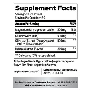 garlic blood pressure supplement